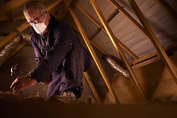 Best Insulation Maintenance and Repair in Hrisburg, AR